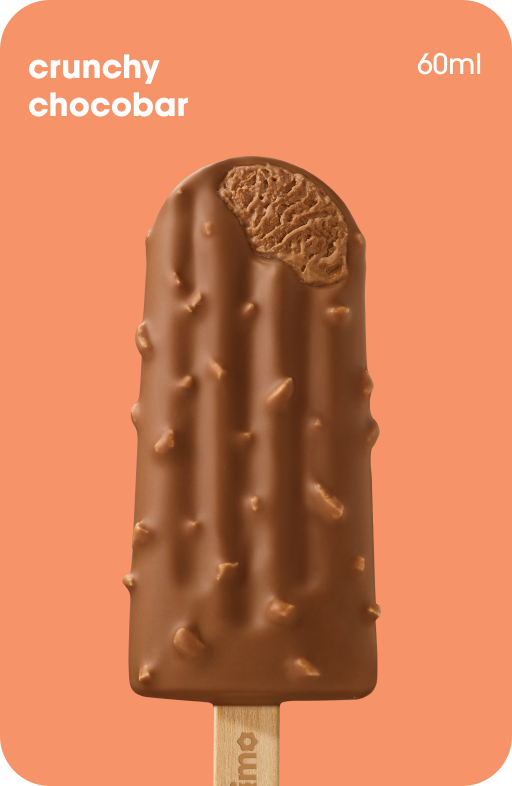 Crunchy Choco Bar